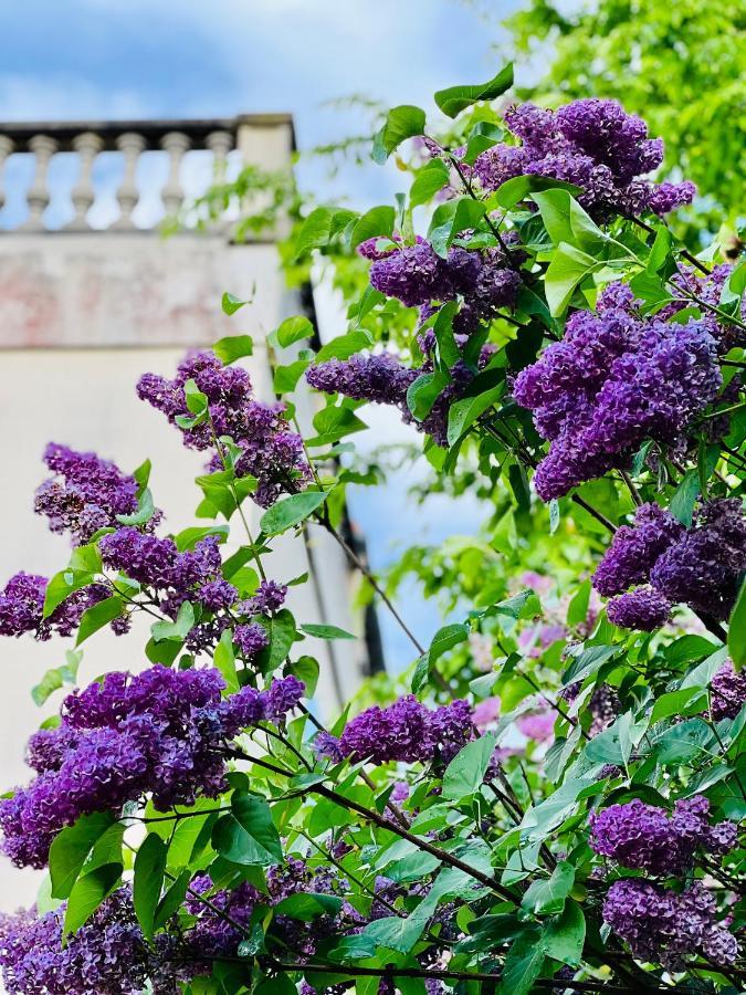Le Talisman Bed and Breakfast Saint-Germain-en-Laye Exteriör bild